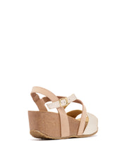 Load image into Gallery viewer, Tondo Gold Multi