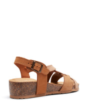 Load image into Gallery viewer, Aversa Brandy Multi