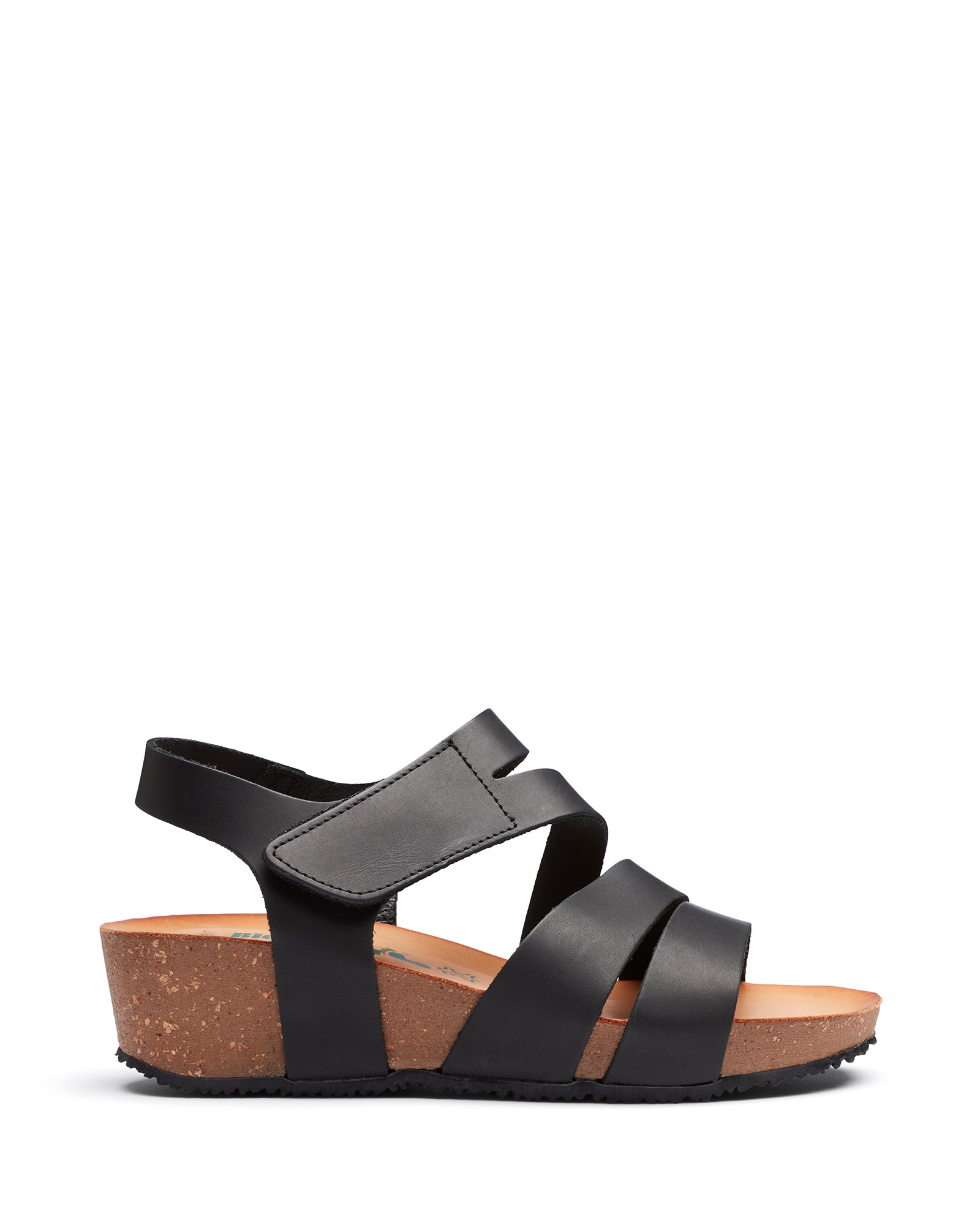 Scorpi Black