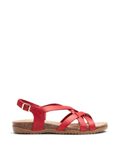 Load image into Gallery viewer, Scuzzi Coral