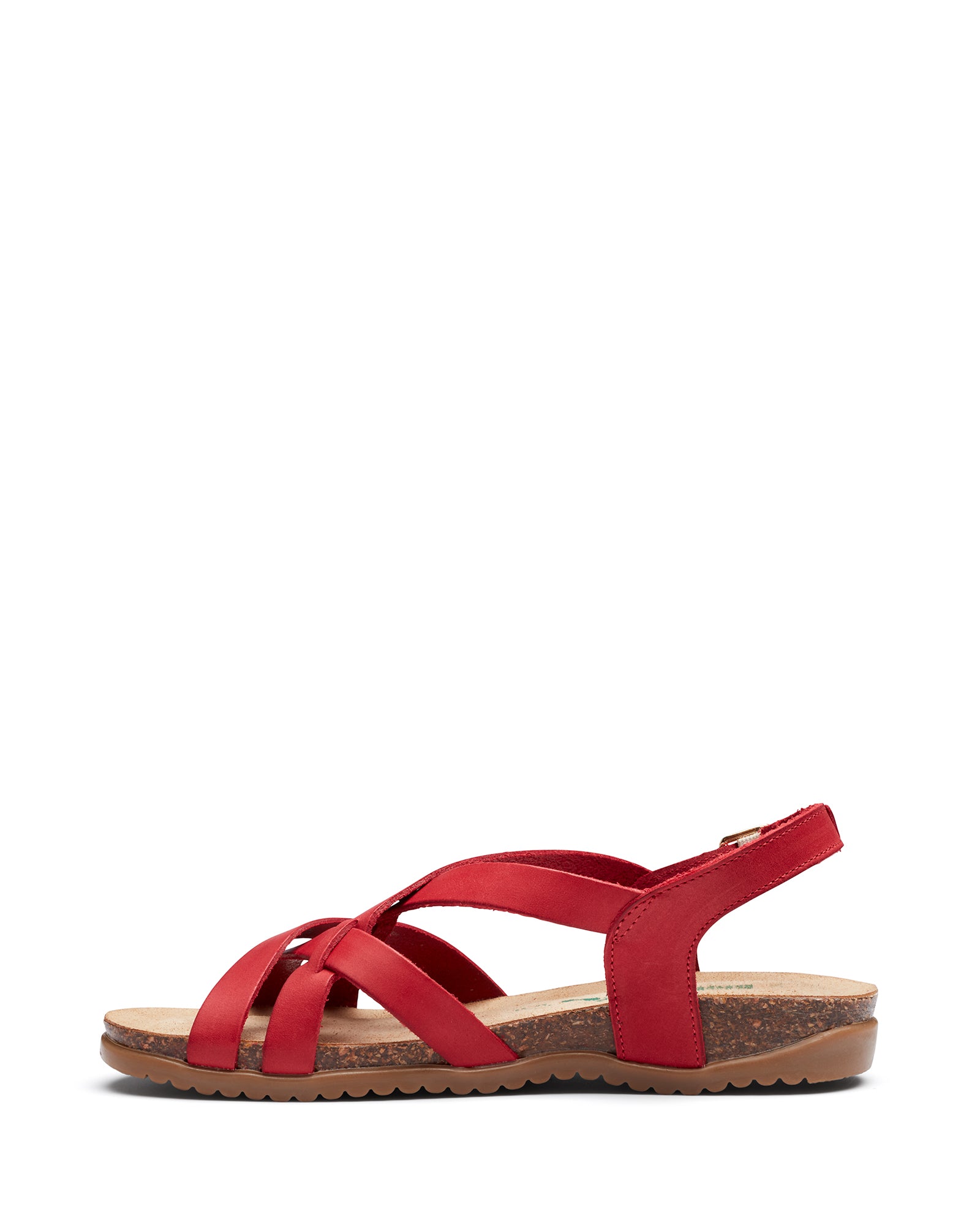 Load image into Gallery viewer, Scuzzi Coral