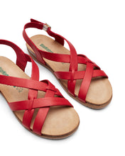 Load image into Gallery viewer, Scuzzi Coral