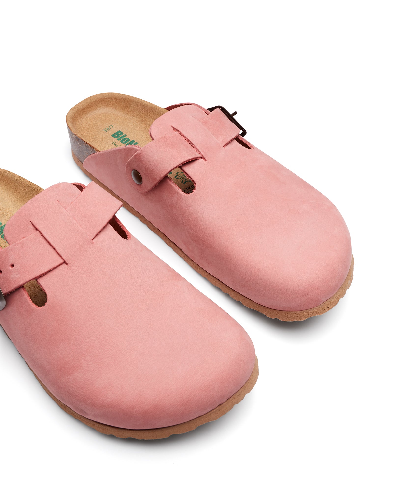 Totti Coral