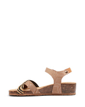 Load image into Gallery viewer, Tripoli Animal Multi