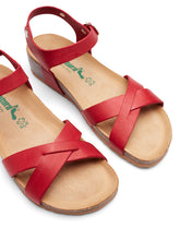 Load image into Gallery viewer, Tripoli Coral Red