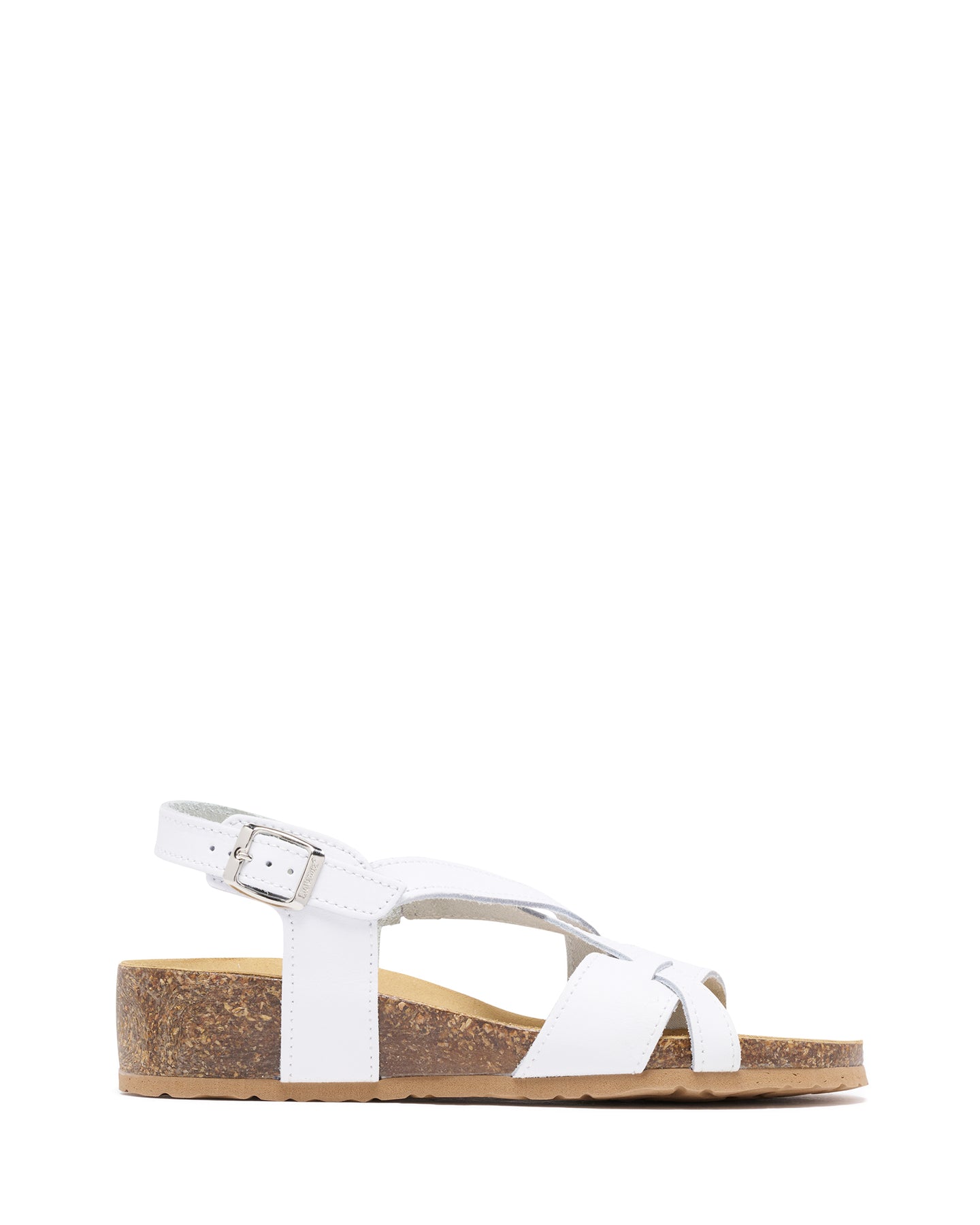 Aversa White