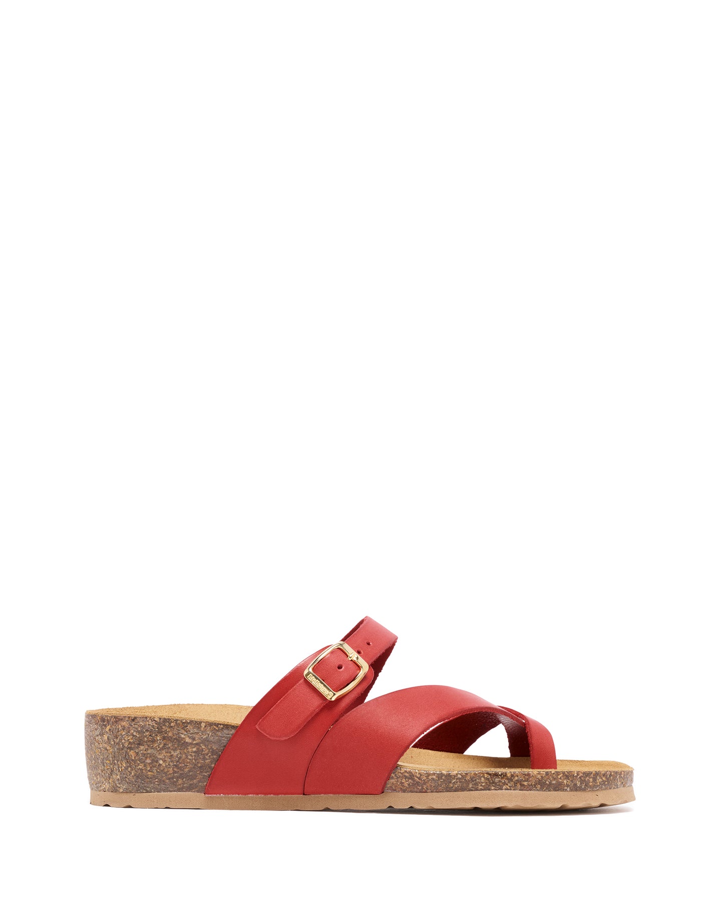 Bari Red