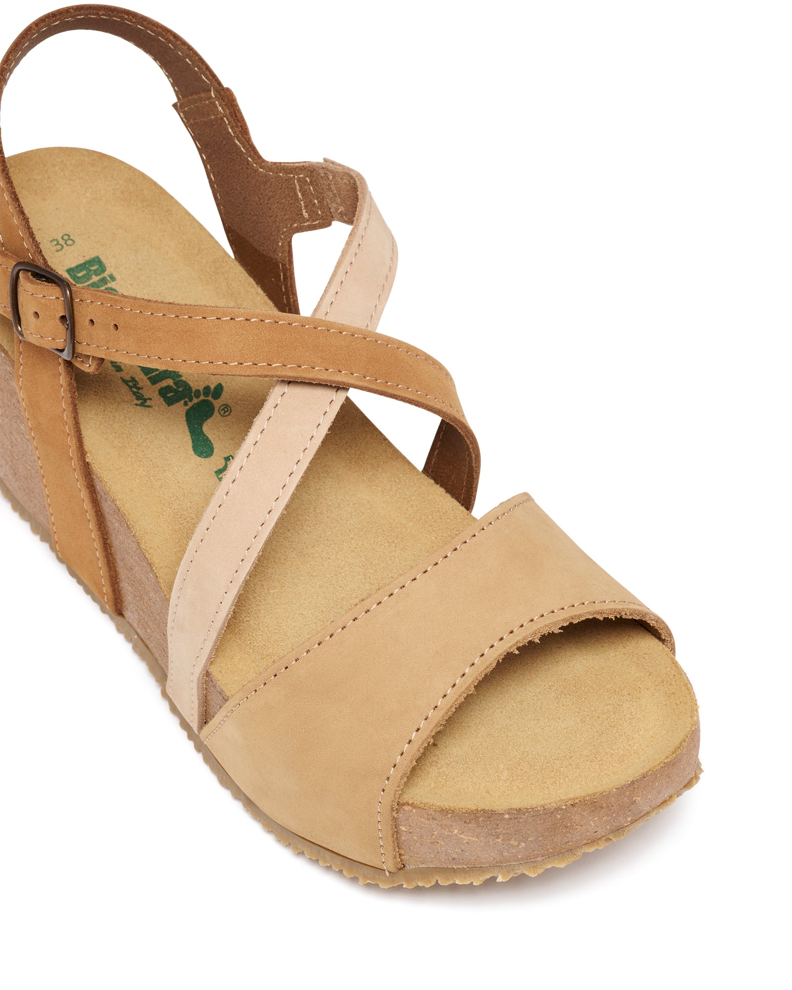 Tondo Tan Multi