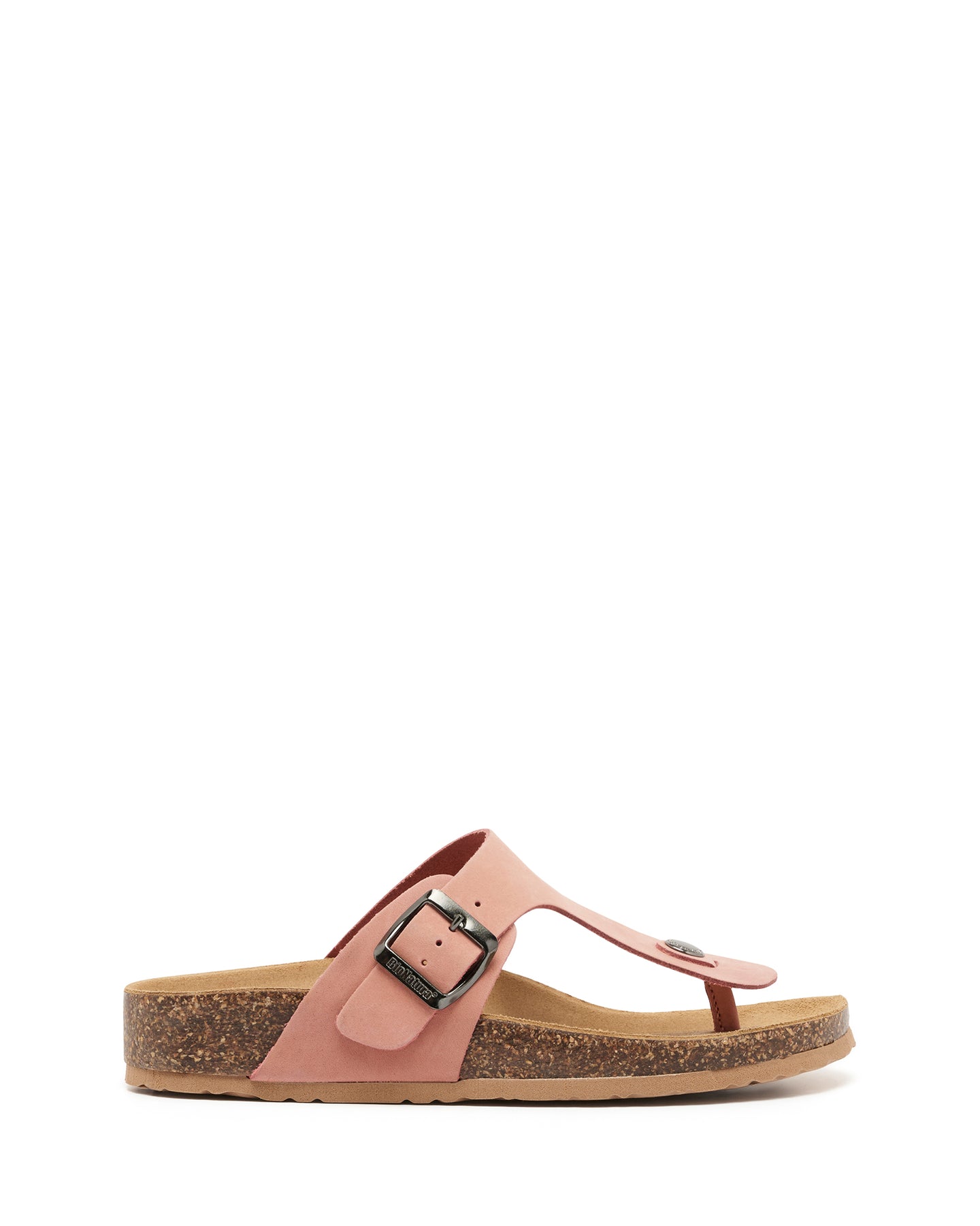Teramo Coral
